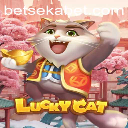 Discovering LuckyCat: An Insight into the Game with Sekabet